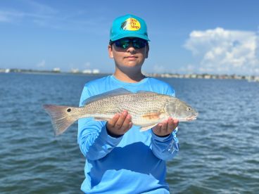 Sarasota Report Photo 2