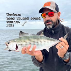 Hard Tails are Here!