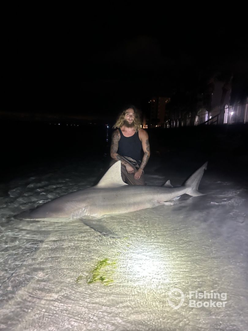 Destin Report Photo 0