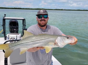 Snook ! Snook ! Snook!