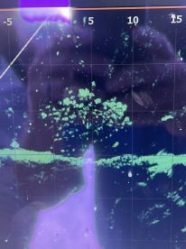 A dayon the lake with repeat clients sea