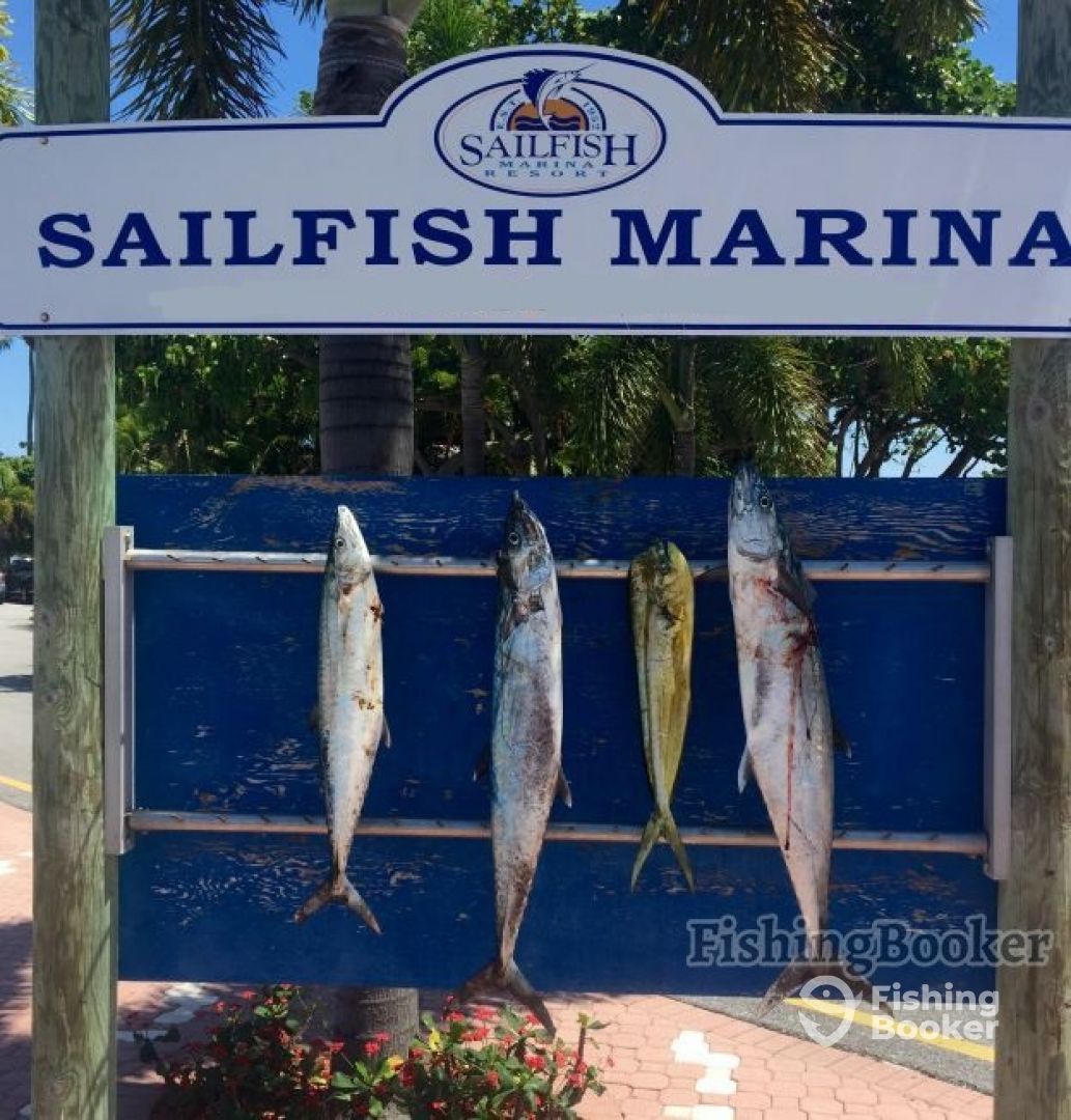 West Palm Beach Report Photo 2
