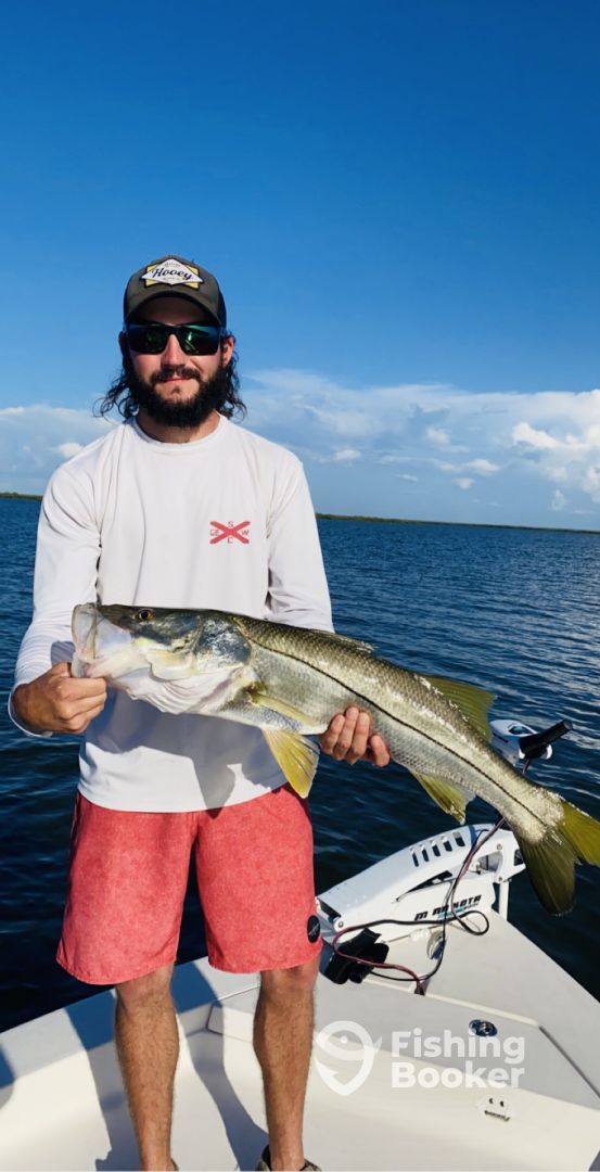 Homosassa Report Photo 0
