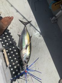 Boynton Beach Report Photo 1