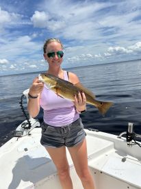 Punta Gorda Report Photo 1