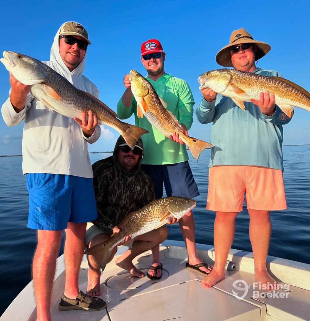 Captiva Report Photo 0