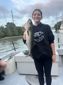 Some great inshore fishing 