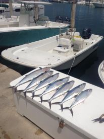 Our boat and the catch of the day!