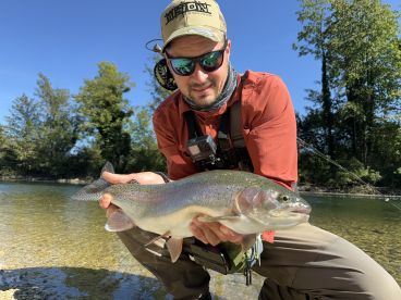 Wild Rainbow from river Traun in Upper A
