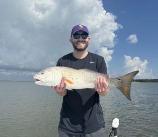 Bullredfish are Biting