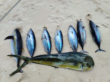 Trou Aux Biches Report Photo 1