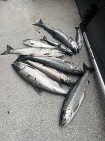 Montesano Report Photo 4