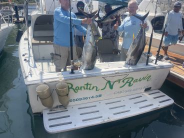 Cabo San Lucas Report Photo 1