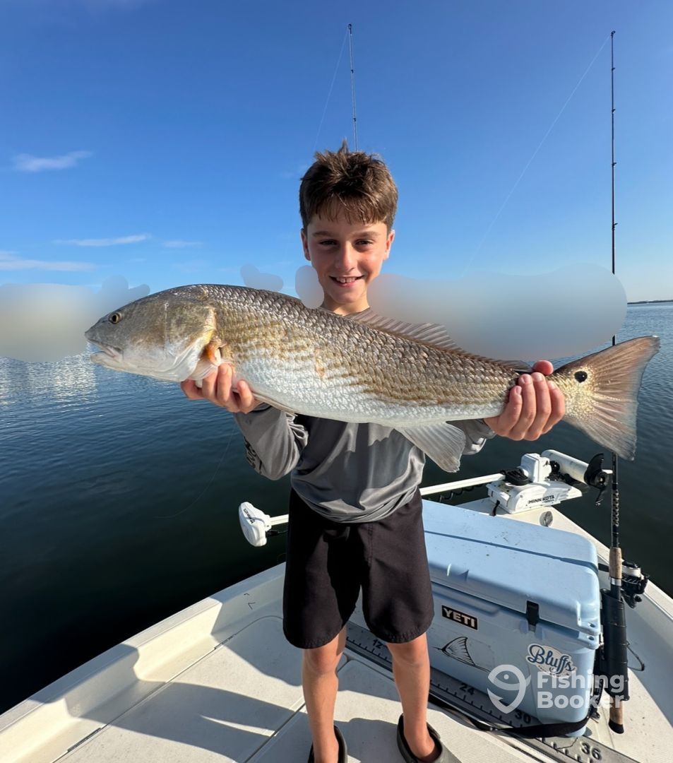 Belleair Bluffs Report Photo 0