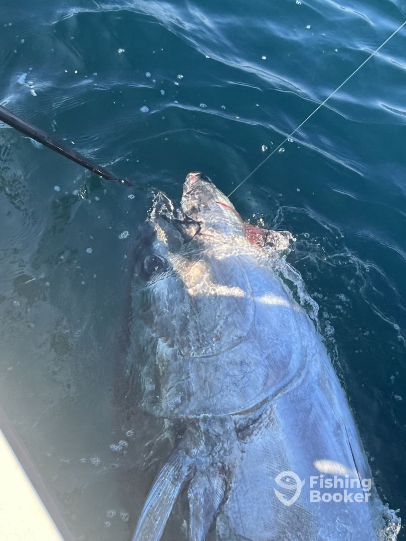 Montauk Report Photo 0