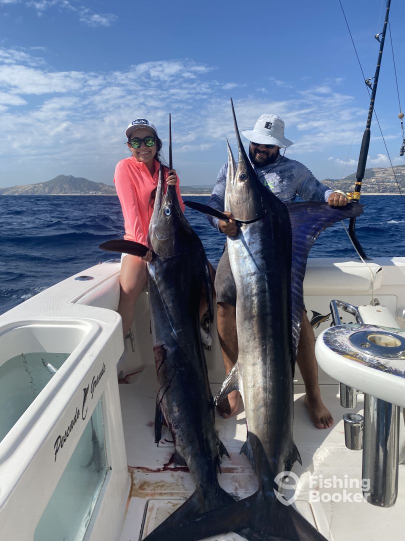 Cabo San Lucas Report Photo 0