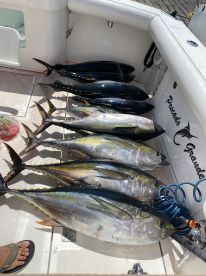 Cabo San Lucas Report Photo 2