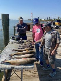 Galveston Report Photo 2