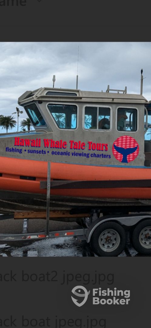 Haleiwa Report Photo 0