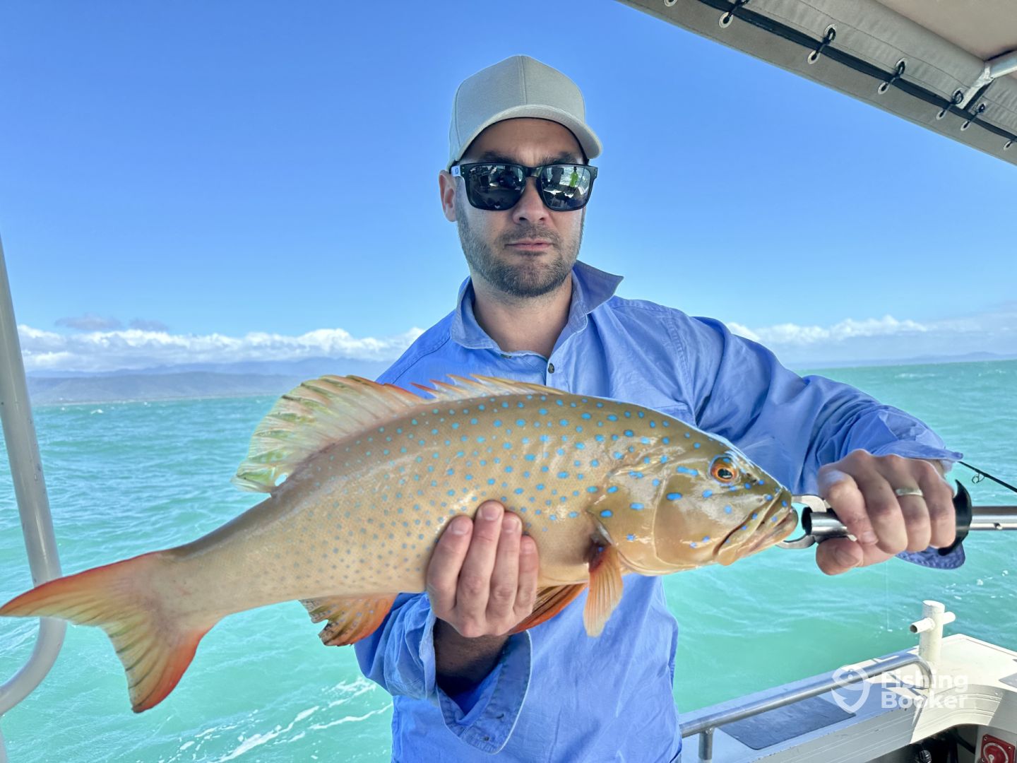 Port Douglas Report Photo 0