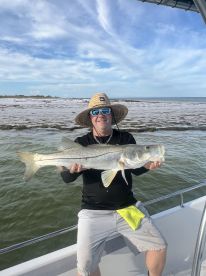 Tarpon Springs Report Photo 1