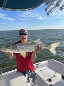 Tarpon Springs Report Photo 2
