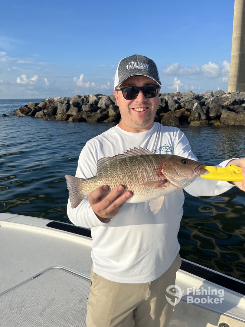 Tampa Report Photo 0