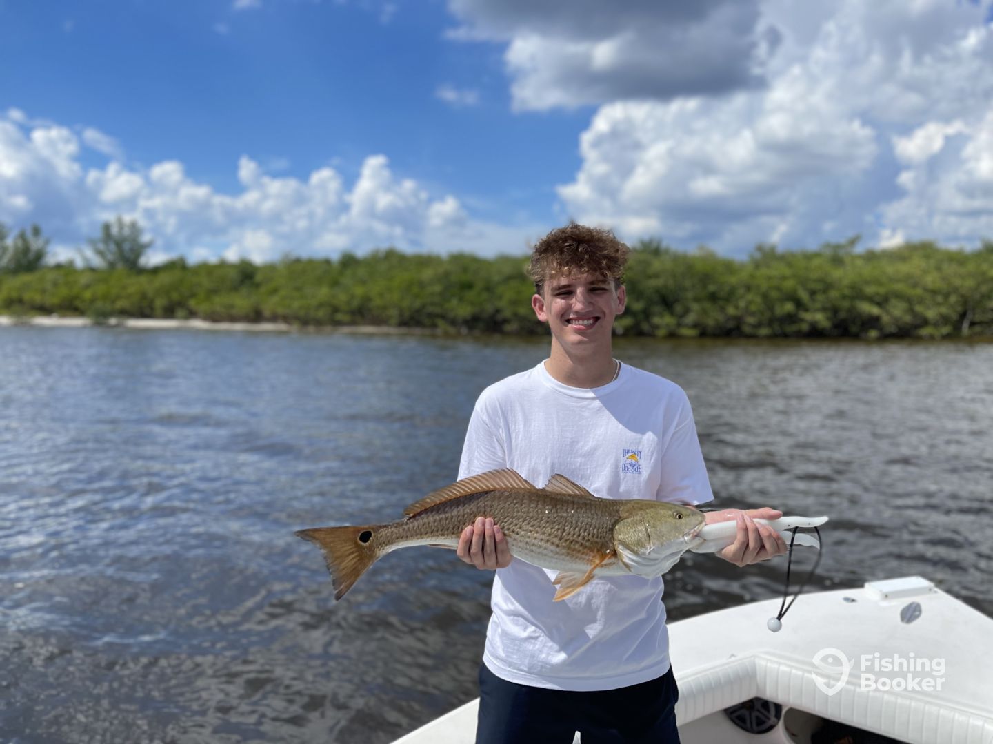 Tampa Report Photo 0