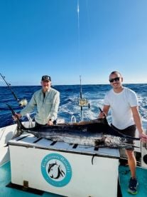 Haleiwa Report Photo 1