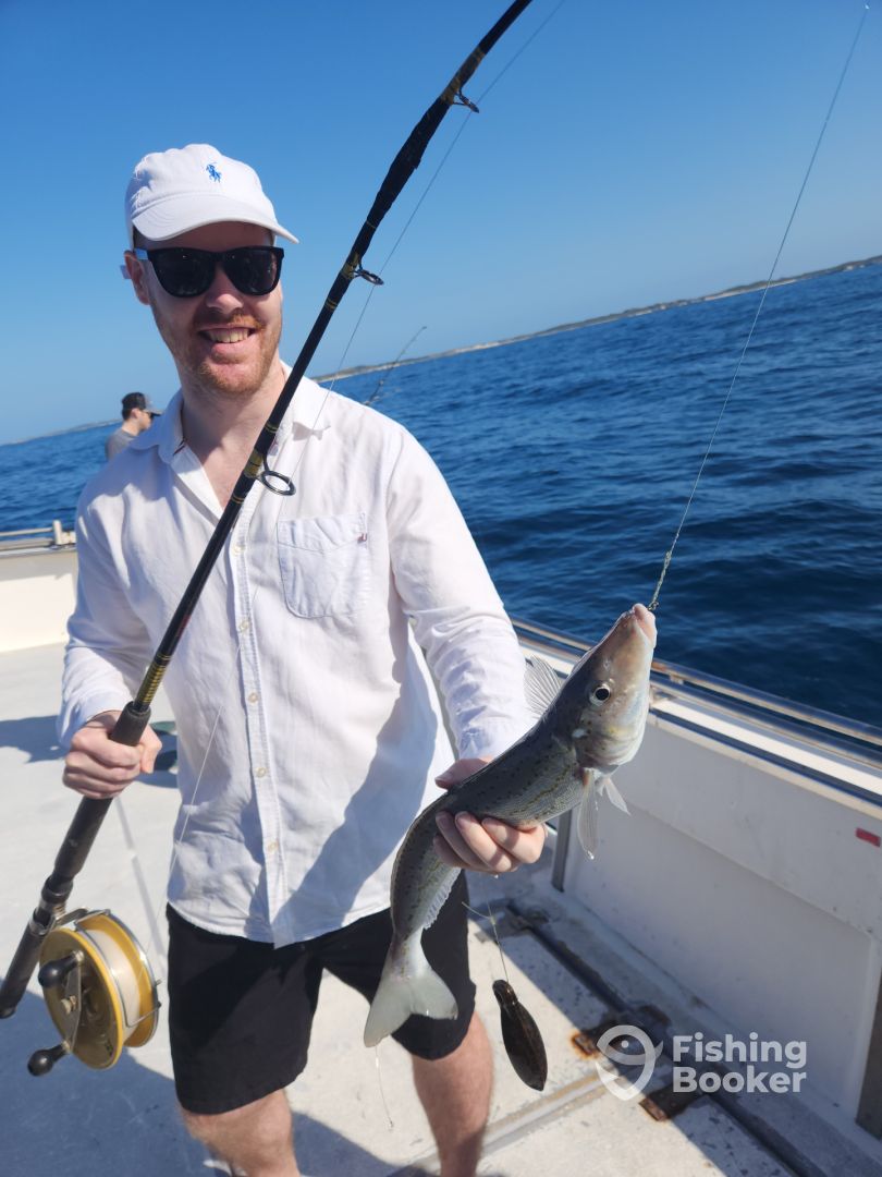 Western Australia Report Photo 0