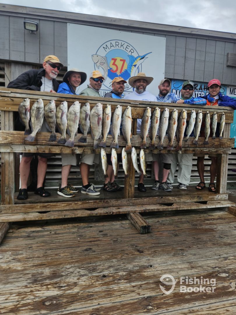 Corpus Christi Report Photo 0
