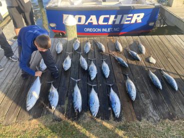 Nags Head Report Photo 1