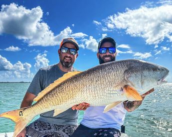 REDFISH ARE HERE!