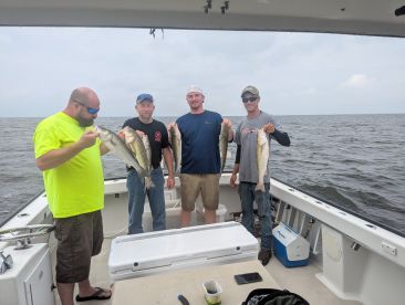 Grasonville Report Photo 3