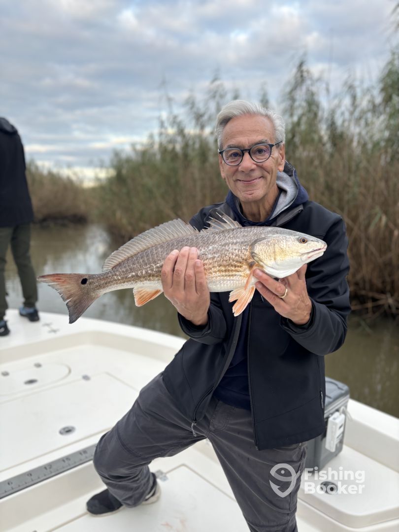 Venice Report Photo 0