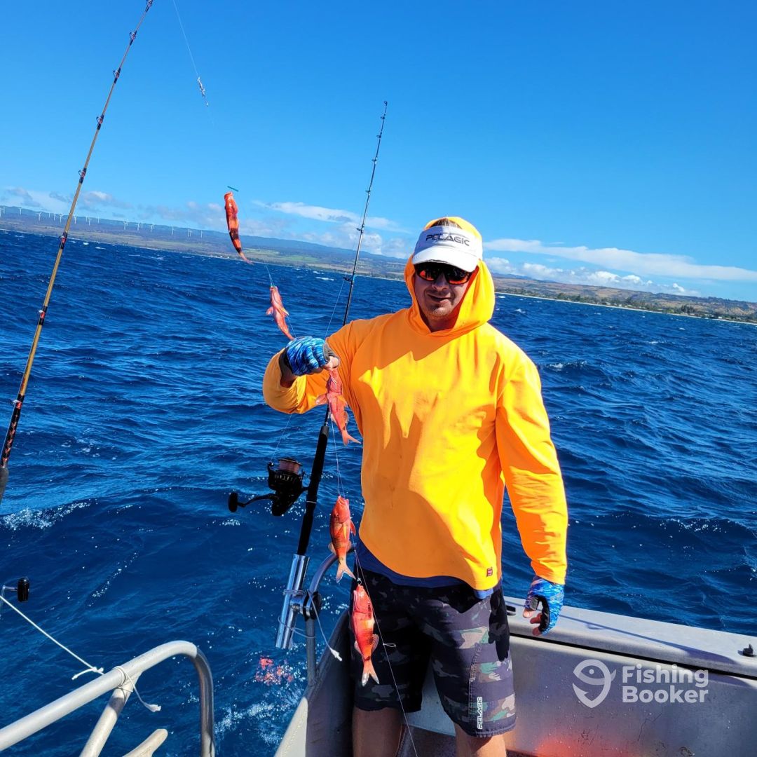 Haleiwa Report Photo 0