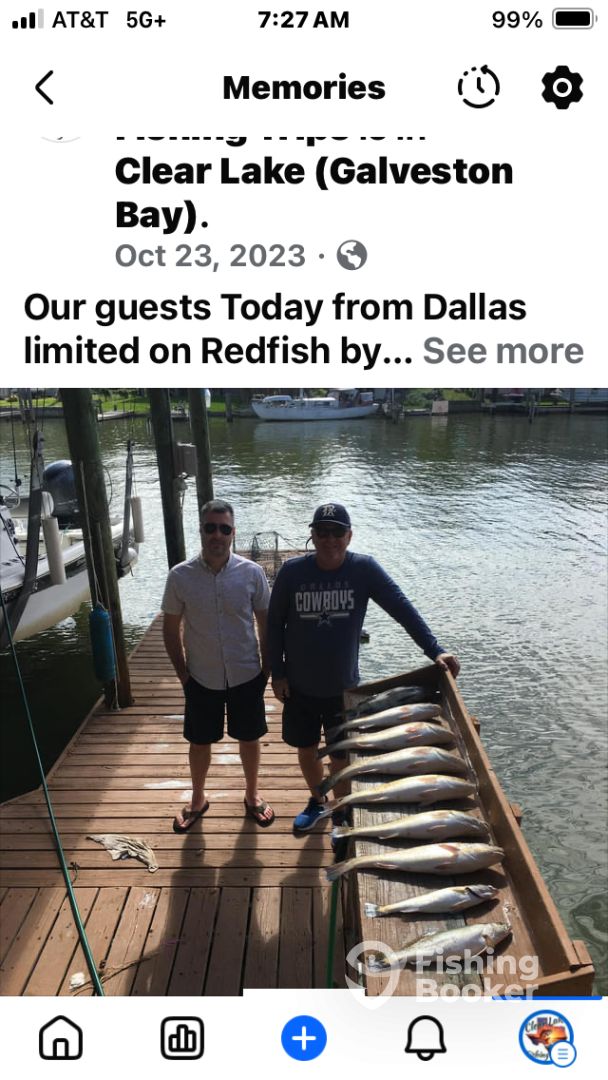 Houston Report Photo 0