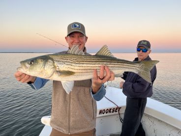 Tons of action! My favorite time of year