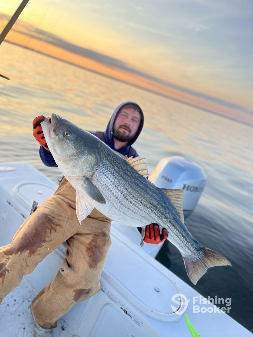 Chesapeake Beach Report Photo 0