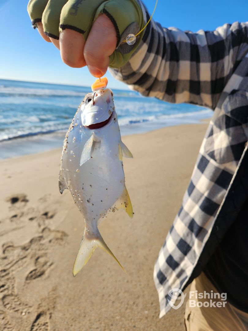 Kure Beach Report Photo 0