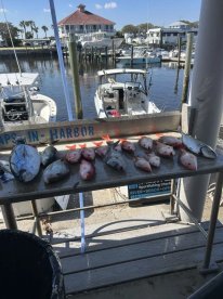 Fish were on fire from the first drop an