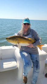 Biloxi Report Photo 2