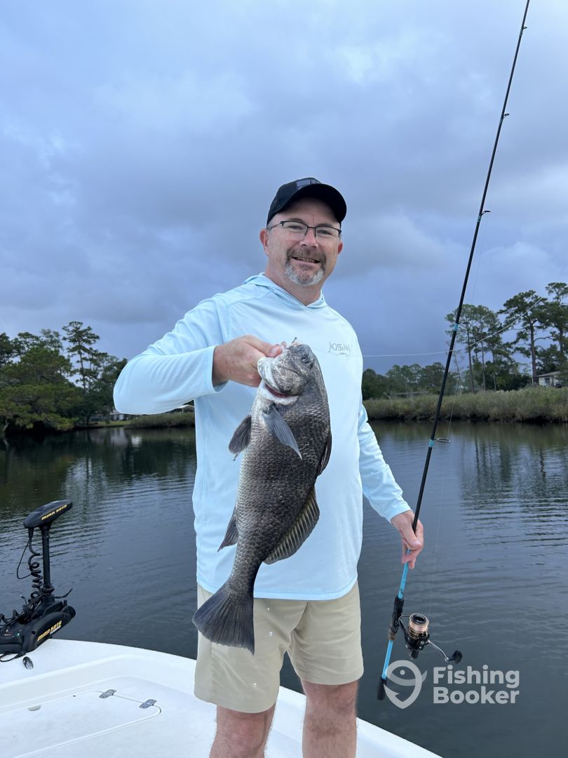 Gulf Shores Report Photo 0