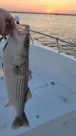 Atlantic City Report Photo 1
