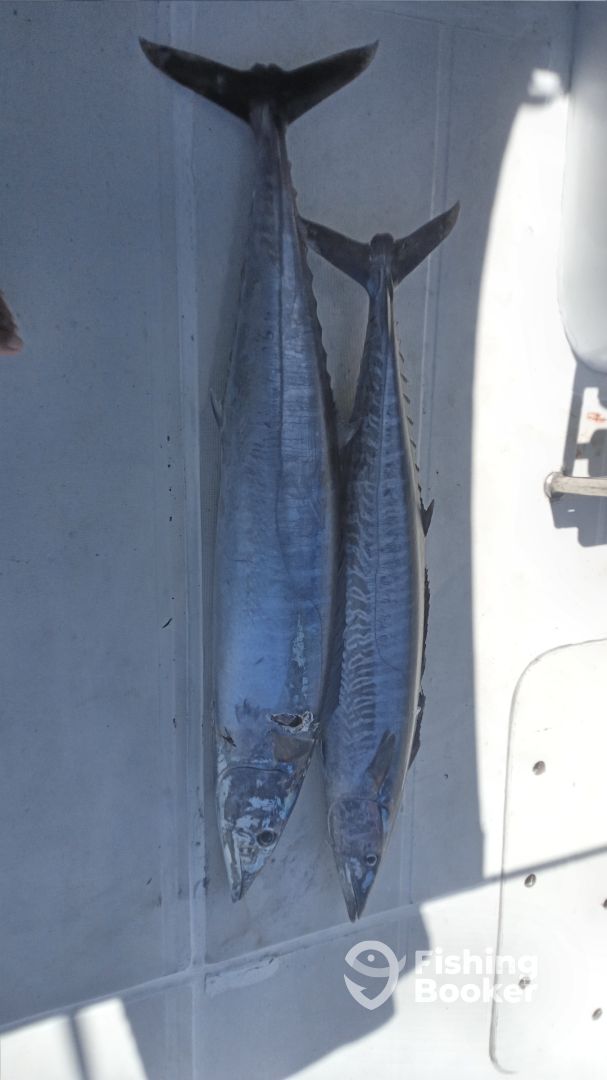 Le Morne Report Photo 0