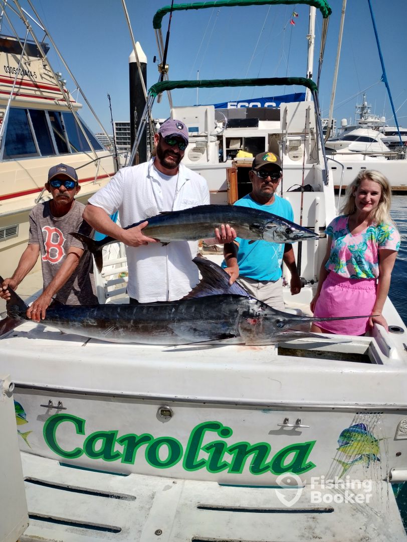 Cabo San Lucas Report Photo 0