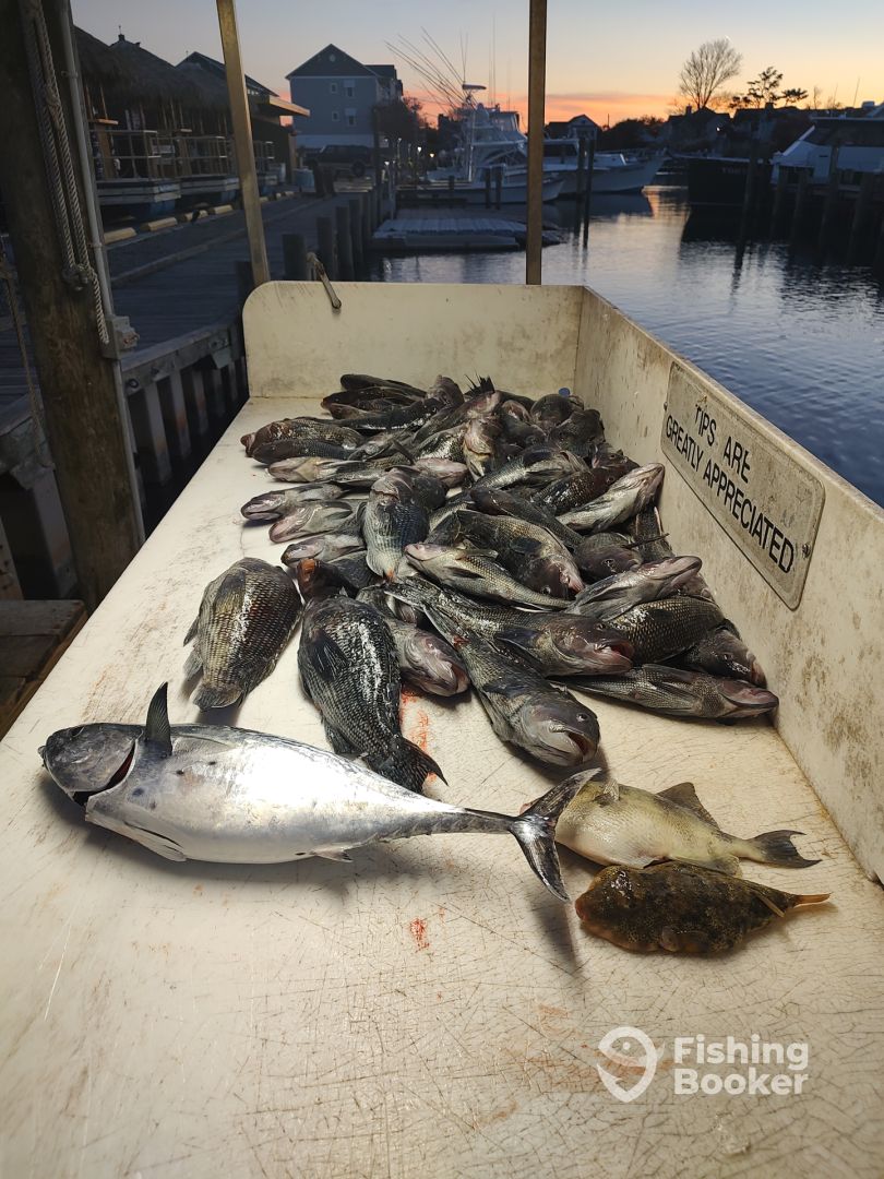 Ocean City Report Photo 0