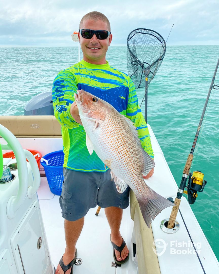 Mangrove Snapper