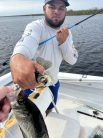 Clewiston Report Photo 2