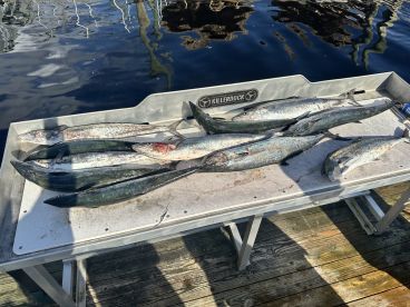Little River Report Photo 2